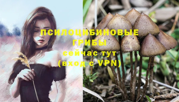 кокаин VHQ Кулебаки