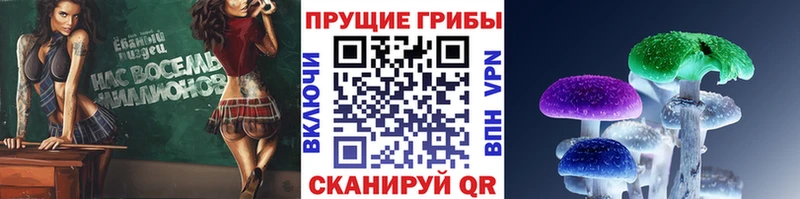 Псилоцибиновые грибы мухоморы  Могоча 